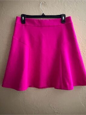 Express Hot Pink Mini A-Line Skirt